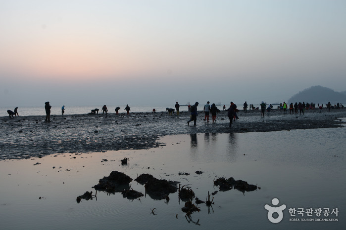 珍岛神奇的海路(진도 신비의 바닷길)