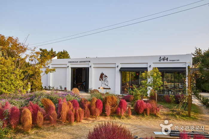 Green Rich Farm그린리치팜