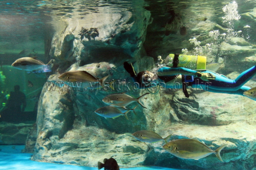 海洋世界63(아쿠아플라넷63)