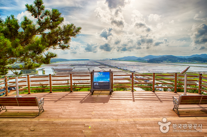 曾岛盐田体验(太平盐田)증도 염전체험 (태평염전)
