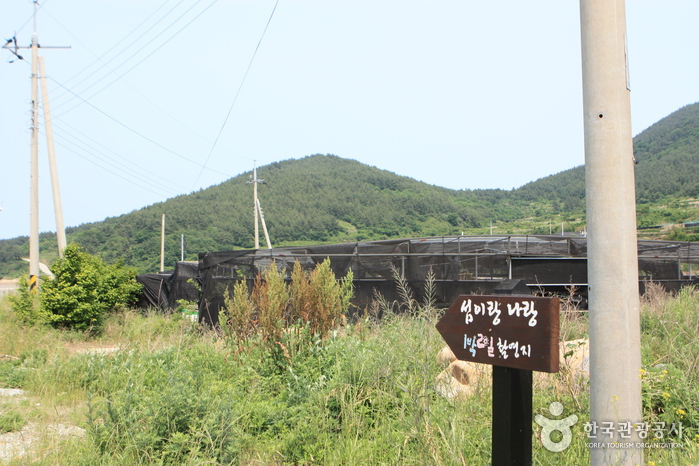青山岛慢走节(청산도 슬로걷기 축제)