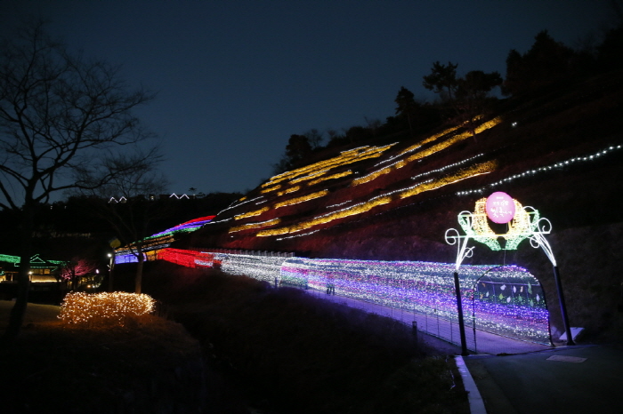 宝城茶园灯节보성차밭 빛의축제