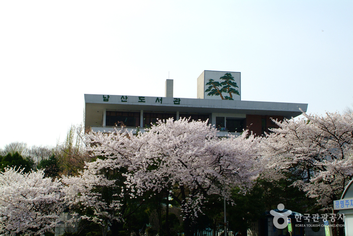首尔特别市教育厅 南山图书馆(서울특별시교육청 남산도서관)