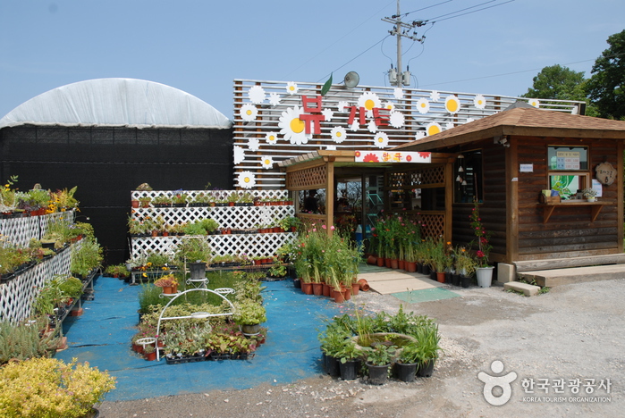 抱川View植物园(포천 뷰식물원)