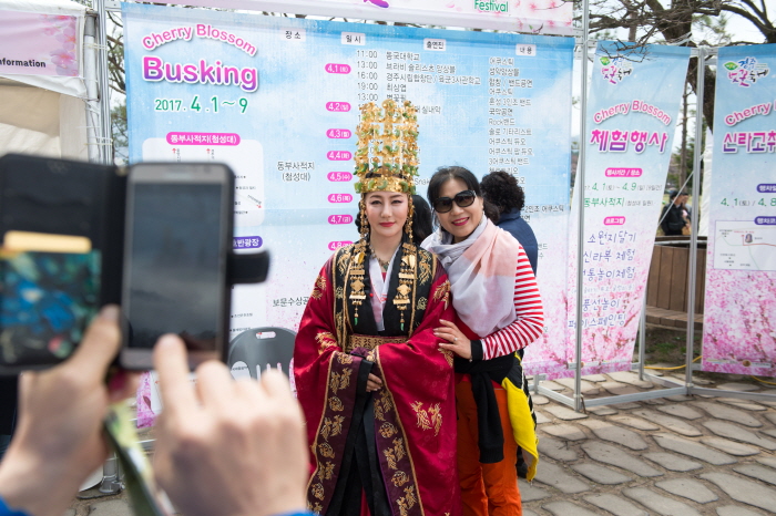 庆州樱花节 경주벚꽃축제