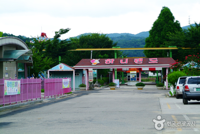 HONEY LAND(하니랜드)