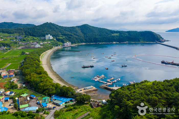 南海勿巾里防潮魚付林(남해 물건리 방조어부림)