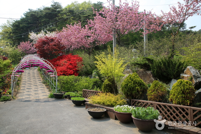 Kohwun植物園(고운식물원)