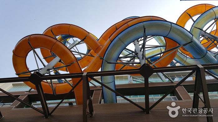 Onemount Water Park (원마운트 워터파크)