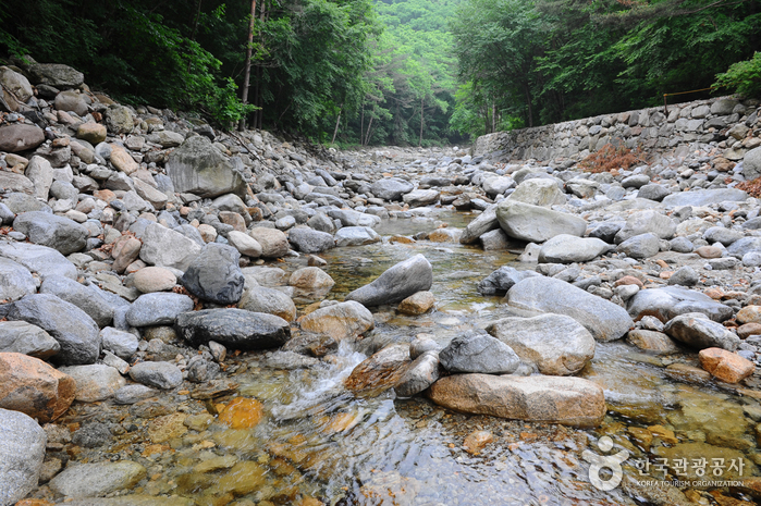 Sibiseonnyeotang (Tangsudonggyegok Valley) (십이선녀탕(탕수동계곡))