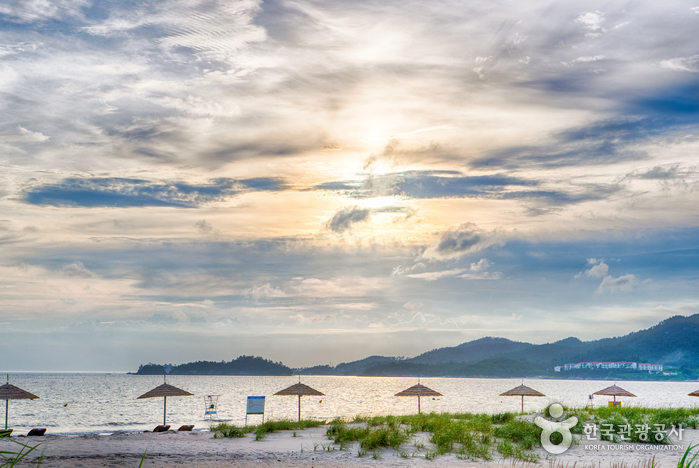 Jeungdo Ujeon Beach (증도 우전해수욕장)