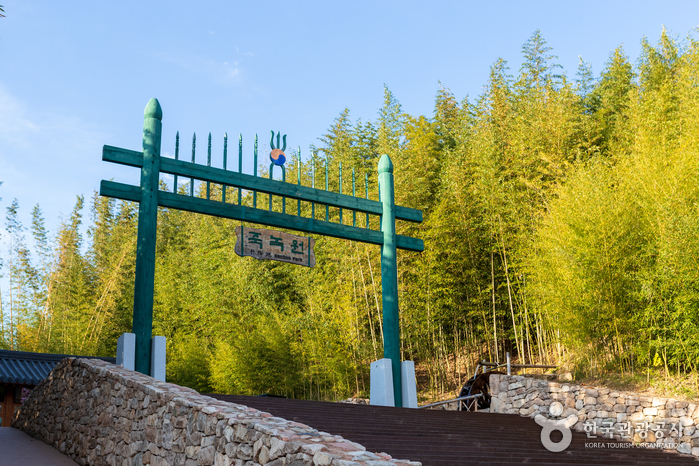 Juknokwon (Bamboo Garden) (죽녹원)