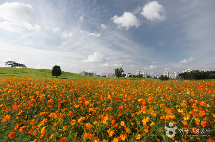 Olympic Park (올림픽공원)