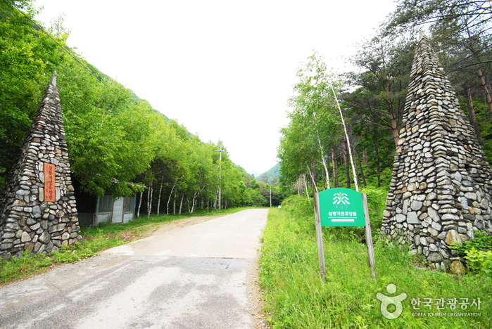 Sambong National Recreational Forest (국립 삼봉자연휴양림)