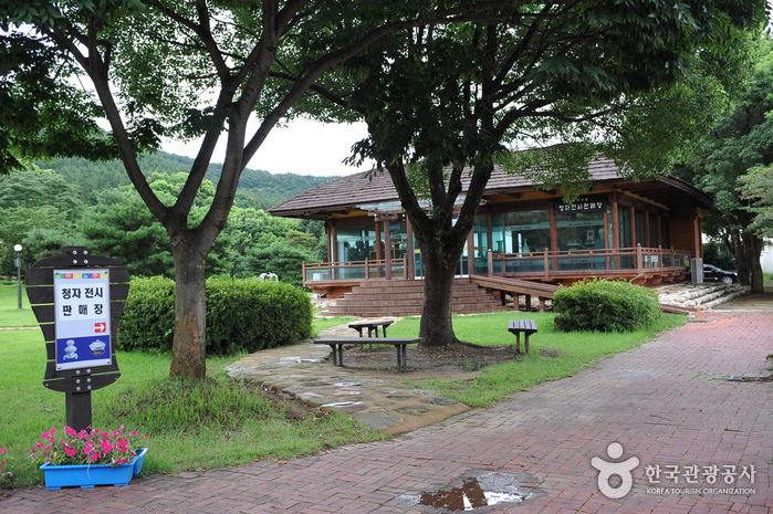 Gangjin Goryeo Celadon Kiln Site (강진 고려청자 요지)