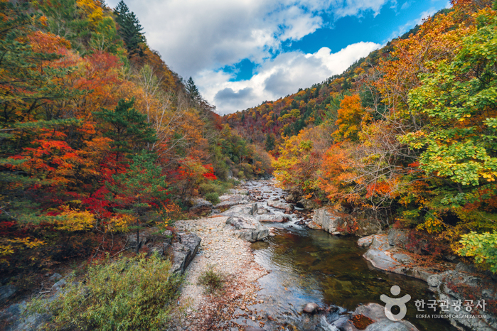 Odaesan National Park (오대산국립공원)