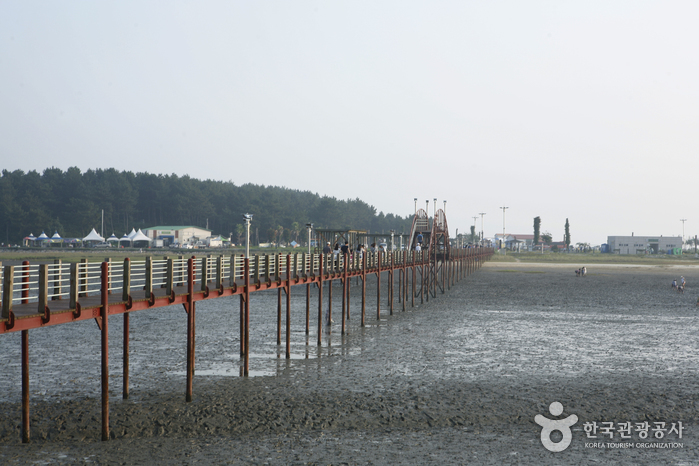 Jeonnam Jeungdo Island [A Slow City] (전남 신안 증도 [슬로시티])