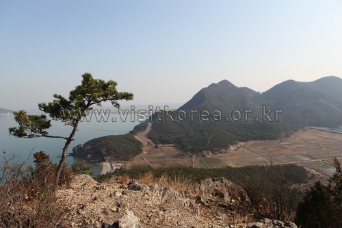 Sinsido Island Fishing Experience Village (신시도 어촌체험마을)