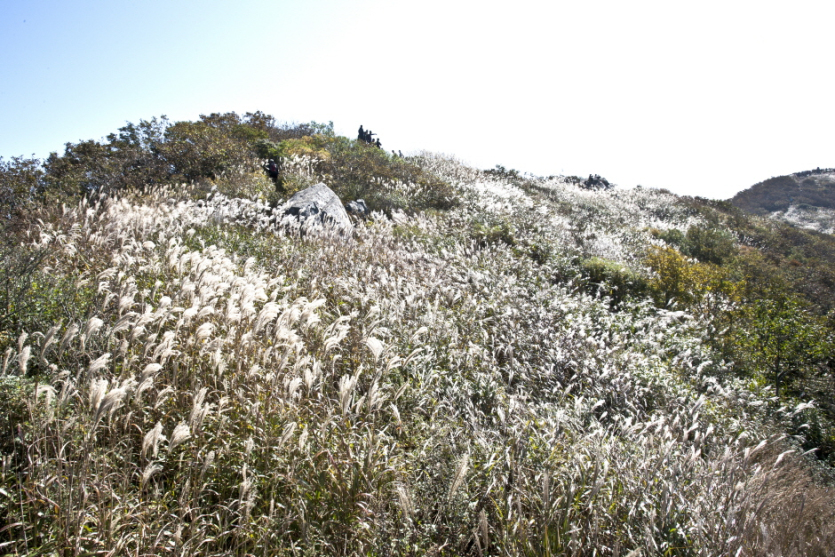 Oseosan Mountain (오서산)