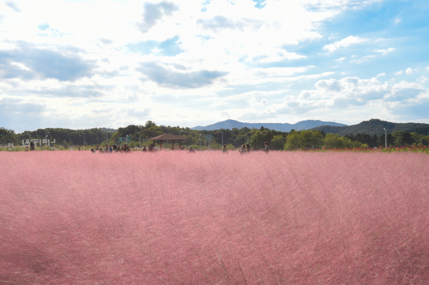 Nari Farm (나리농원)