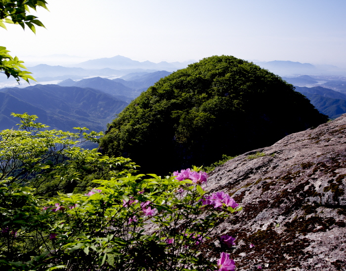 Mont Baegunsan (Gwangyang) (백운산(광양))