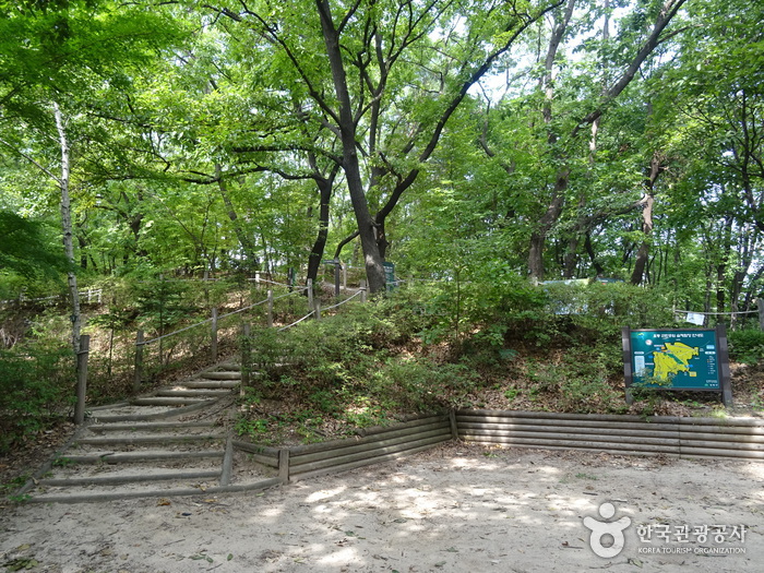 Parc Odong Geunrin (오동근린공원)