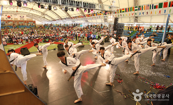 Exposition Culturelle Mondiale de Taekwondo (세계 태권도 문화 엑스포)