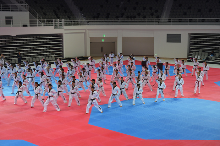 Centre national de taekwondo de Muju (국립태권도원)