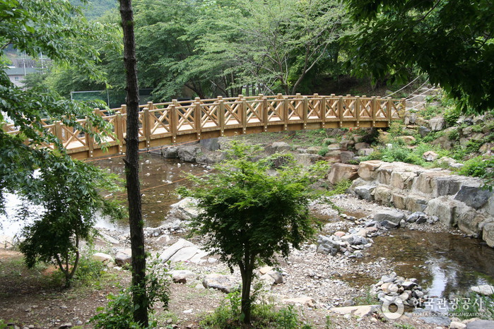 Forêt récréative Jeamsan (제암산자연휴양림)