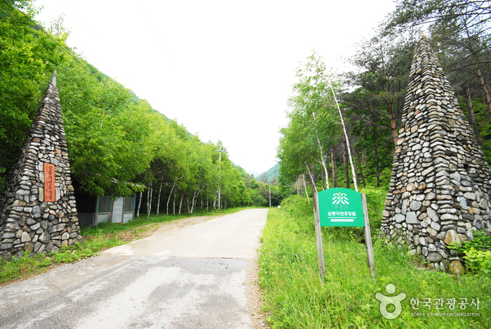 Forêt récréative de Sambong (국립 삼봉자연휴양림)