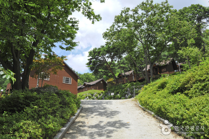 Forêt Récréative et Culturelle de Yongmun-san (용문산자연휴양림)