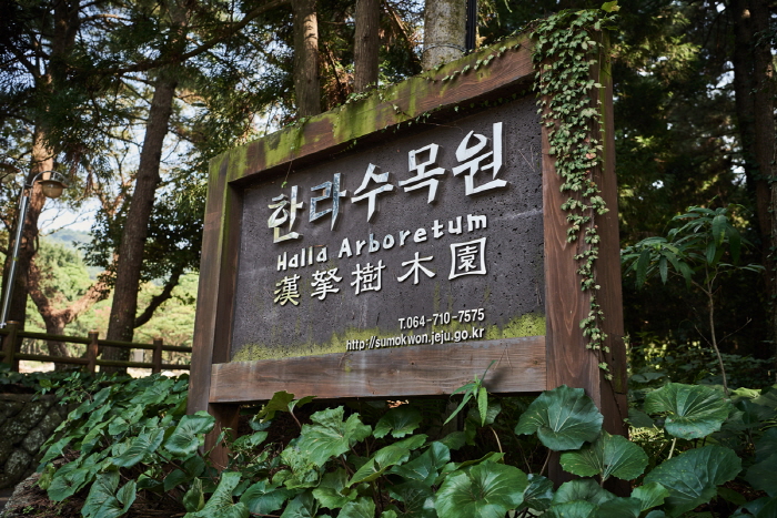 Arboretum de Halla (한라수목원)