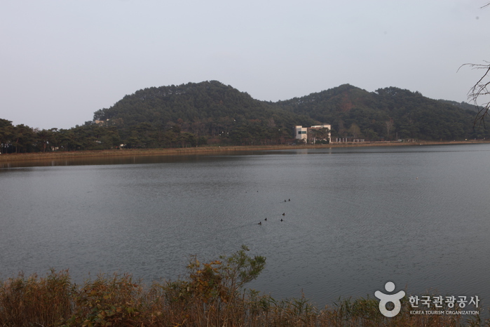 Lac Hwajinpo (화진포)
