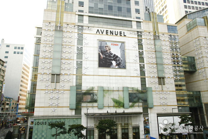 Grand magasin Lotte (branche Avenuel) (롯데백화점-에비뉴엘점)