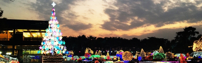 Festival des lumières du jardin botanique de Byeokchoji (벽초지수목원빛축제)