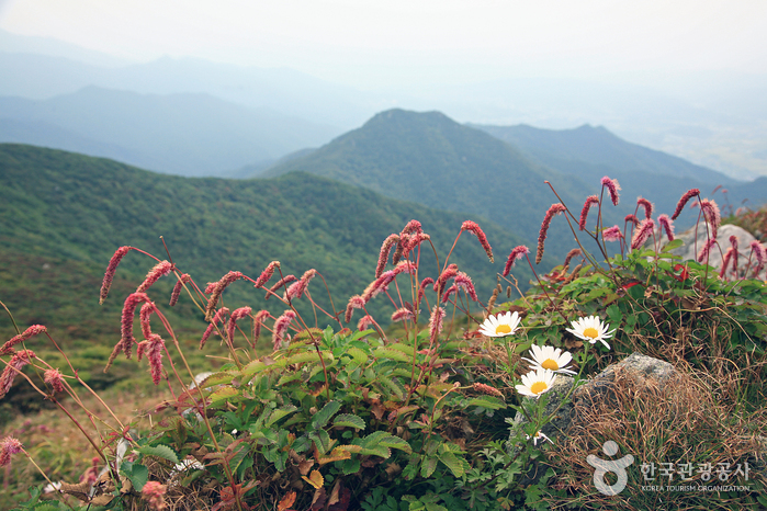 Parc National du Mt. Deogyusan (덕유산국립공원 - 남덕유분소)