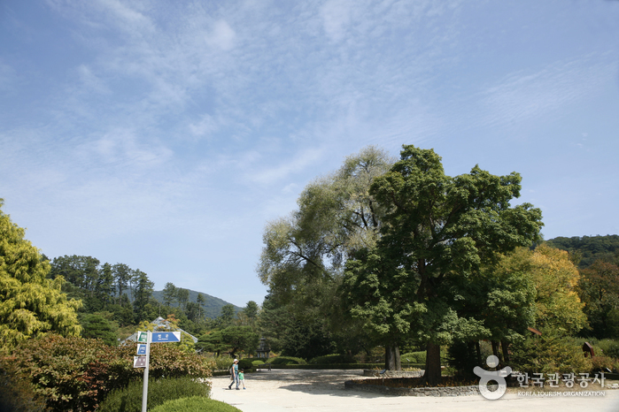 Arboretum national de Corée et musée de la forêt (국립수목원)