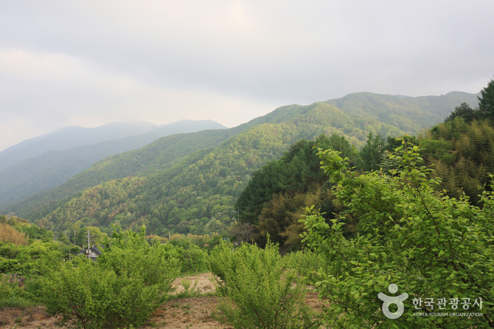 Parc National du Mt. Jirisan (Hadong) (지리산국립공원 - 하동)