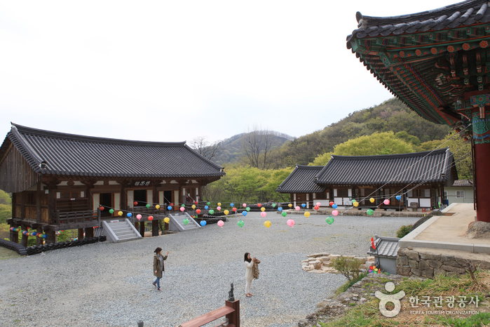 Temple Yongcheonsa (용천사(함평))