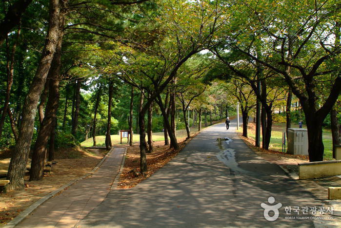 Parc Sarabong (사라봉공원)