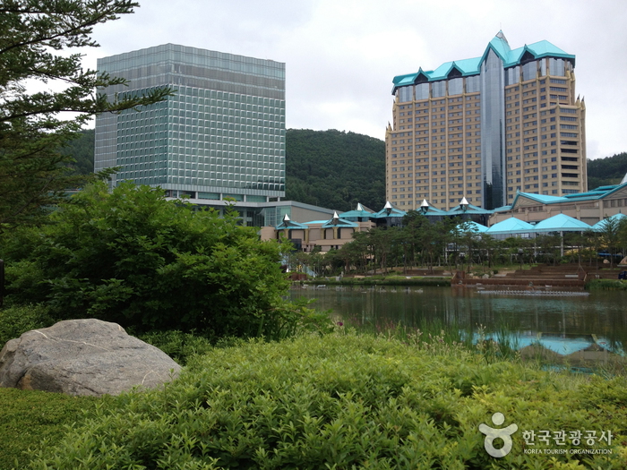 Casino de Kangwon Land (강원랜드 카지노)