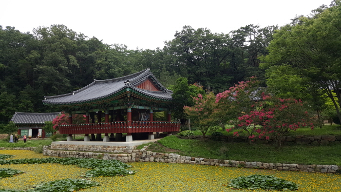 Temple Bulyeongsa (Uljin) ( 불영사 - 울진)