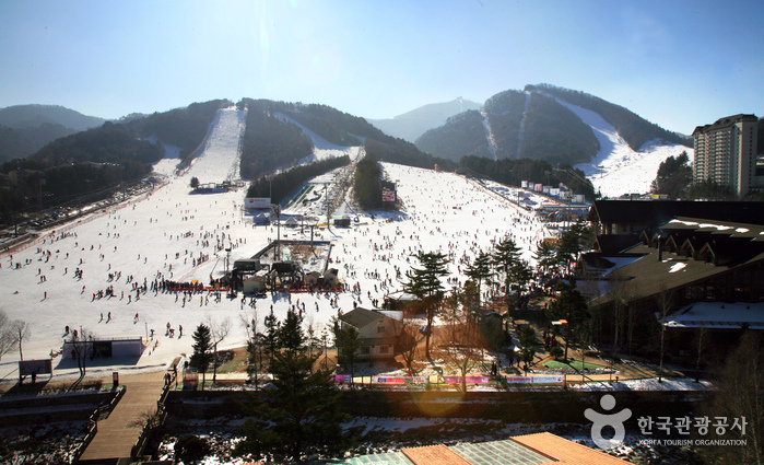 Station de ski de Yongpyeong (용평리조트 스키장)