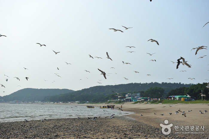 Plage de Masian à Yongyu-do (용유도 마시안해변)