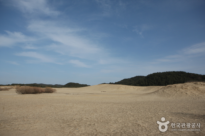 Dune de sable côtière de Sinduri (태안 신두리 해안사구)