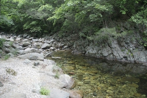 La Forêt Yongdae (국립 용대자연휴양림)