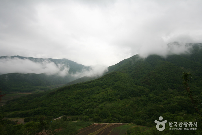 Parc National du Mt. Jirisan (Sancheong) (지리산국립공원 - 산청)
