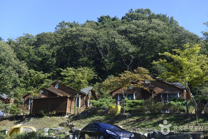 Erholungswald Yongin (용인자연휴양림)