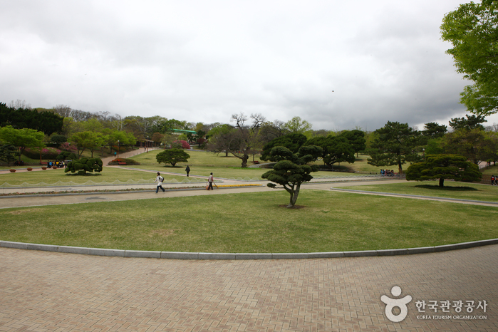 Dalseong-Park Daegu (대구 달성공원)
