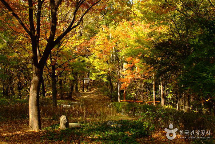 Cheongdam-Park (청담공원)